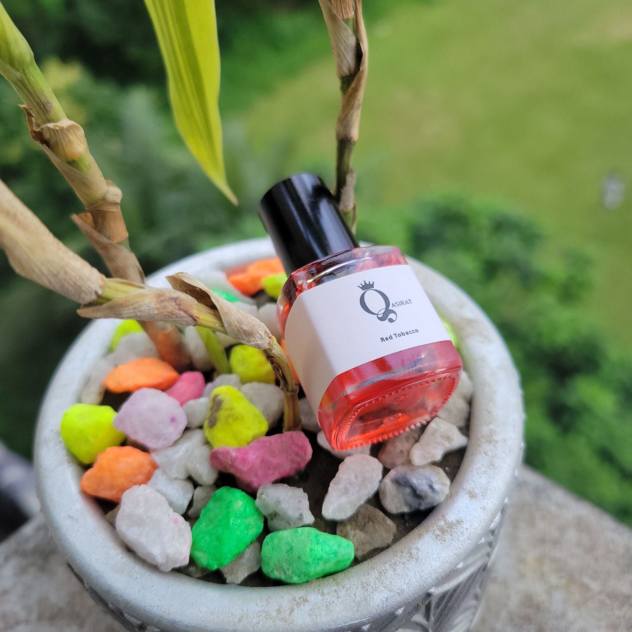 Red Tobacco - Image 2